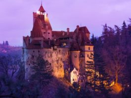 5 najbardziej niezwykłych wycieczek