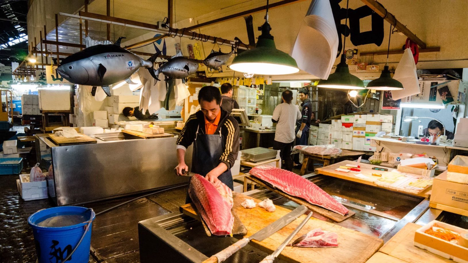 Sniadanie Na Rynku Tsukiji Traveladvisor Pl