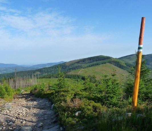 panorama widoków Beskidu Żywieckiego